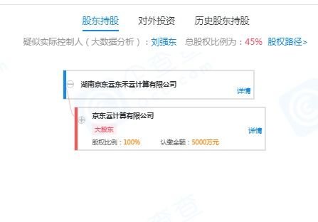 劉強東的再出發 退出云計算公司，押注無人機與室內裝修新賽道