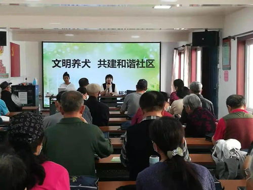 為愛寵加一道“安全鎖”——光明街道養犬登記年檢與免疫一站式服務紀實